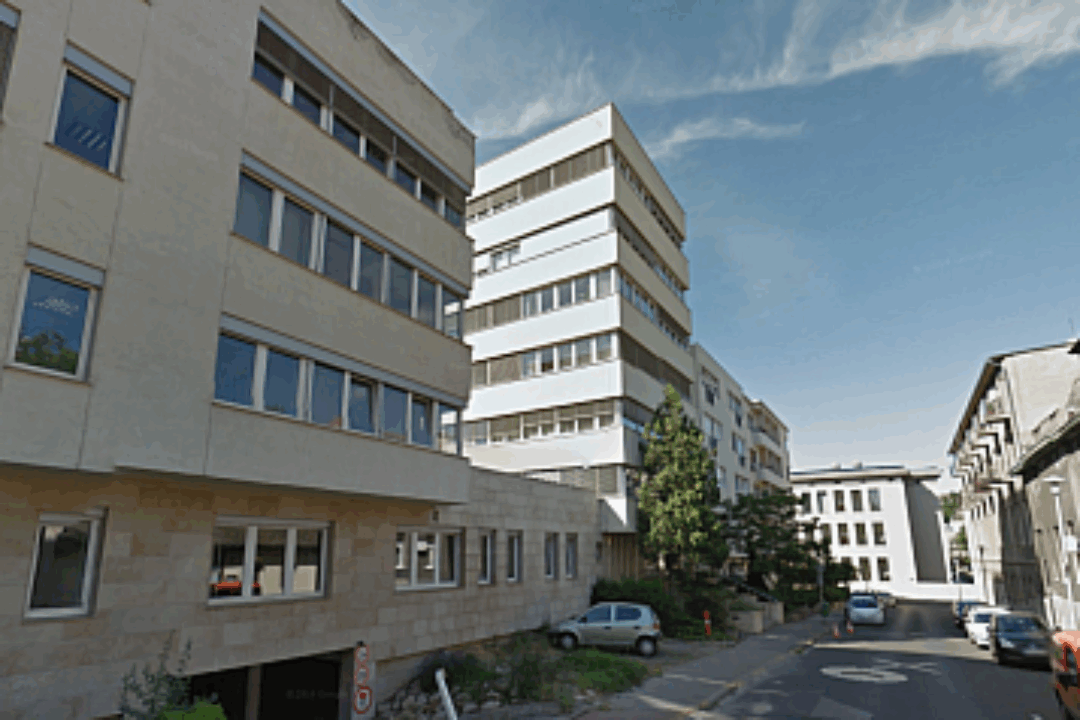 Expert meeting, Budapest