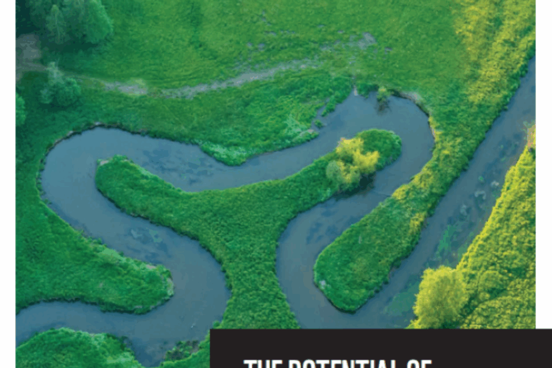 New WWF Analysis of 30000 river obstacles in Europe