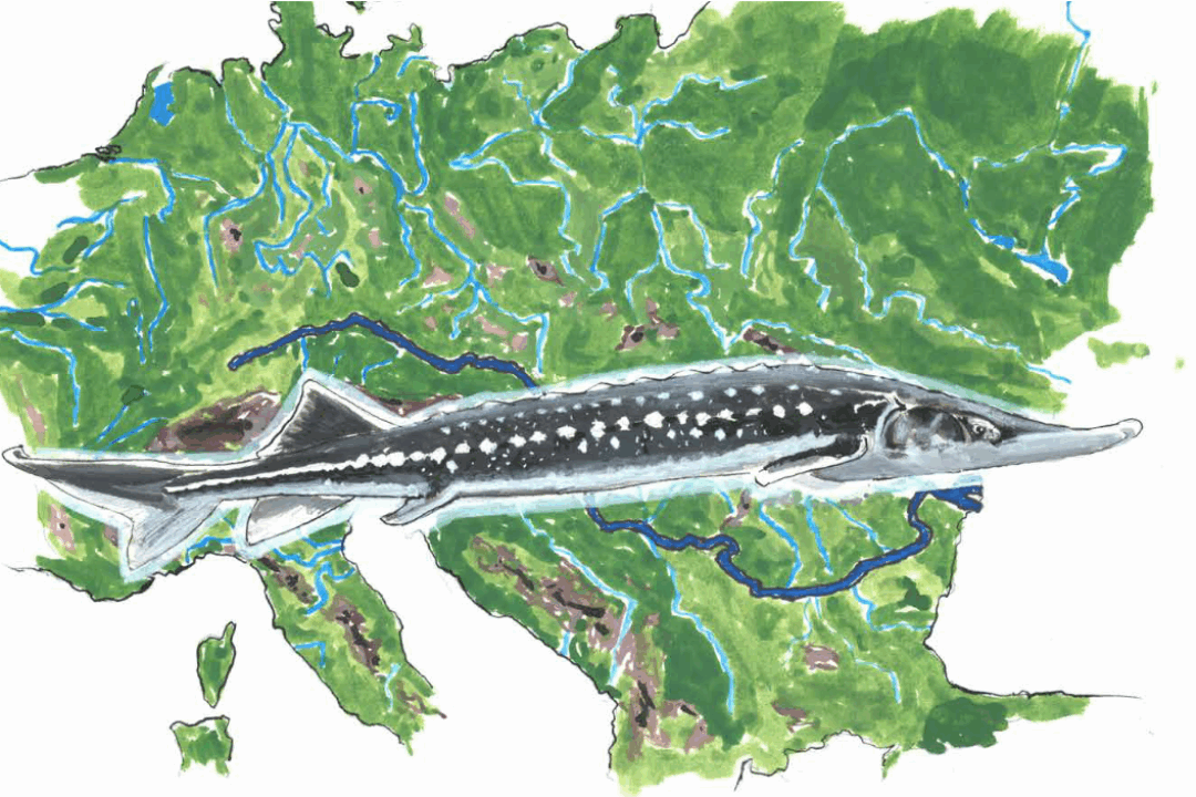 Final Conference of  DTP MEASURES project organized