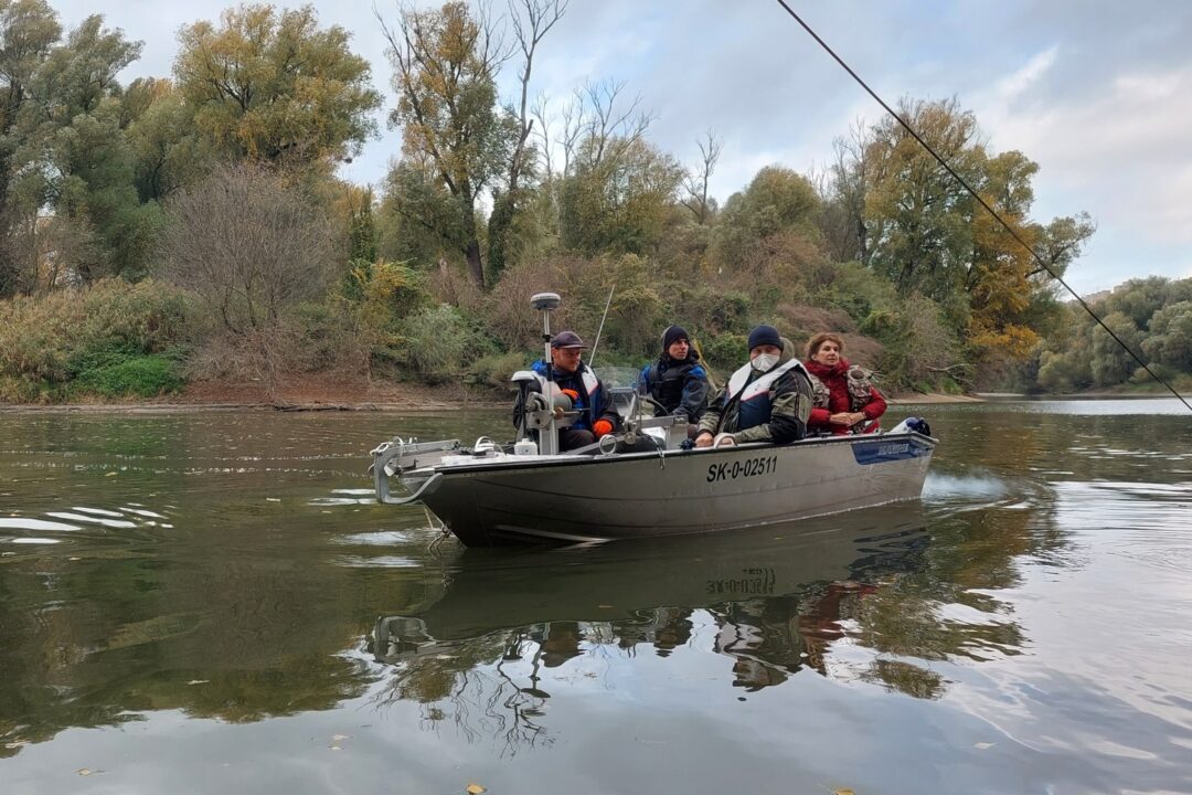 Insight into the Danube River sediments