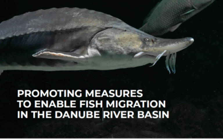 PROMOTING MEASURES TO ENABLE FISH MIGRATION IN THE DANUBE RIVER BASIN