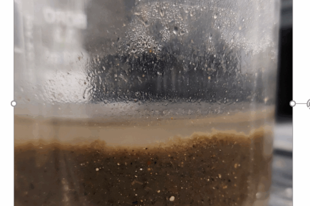 Analysis of wastewater treatment plants along the Hungarian stretch of the Danube River