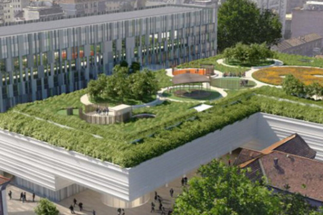 Water Retention in Urban Areas – brochure