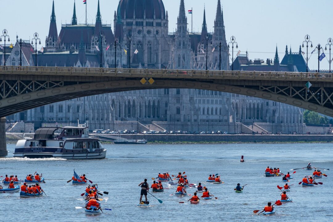 PA4 experts welcome swimming professor in Budapest