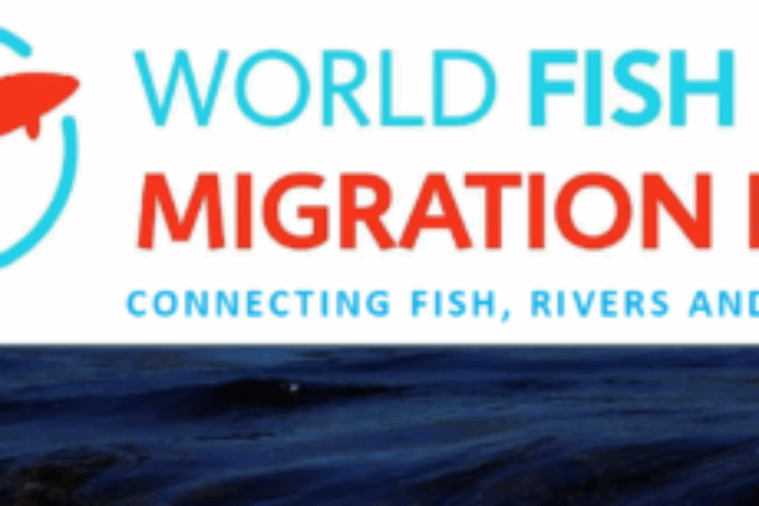 CELEBRATING THE WORLD FISH MIGRATION DAY