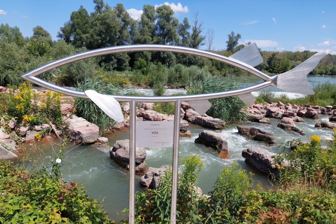 Discussion on fish migration improvement in the Danube River branch system