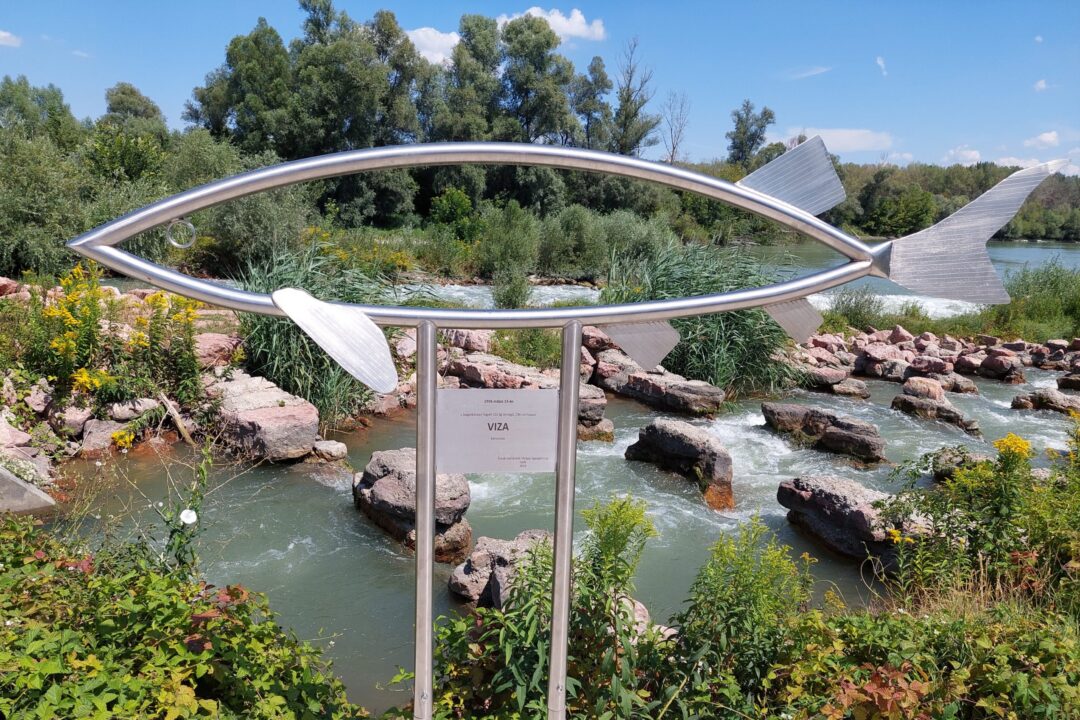 Discussion on fish migration improvement in the Danube River branch system