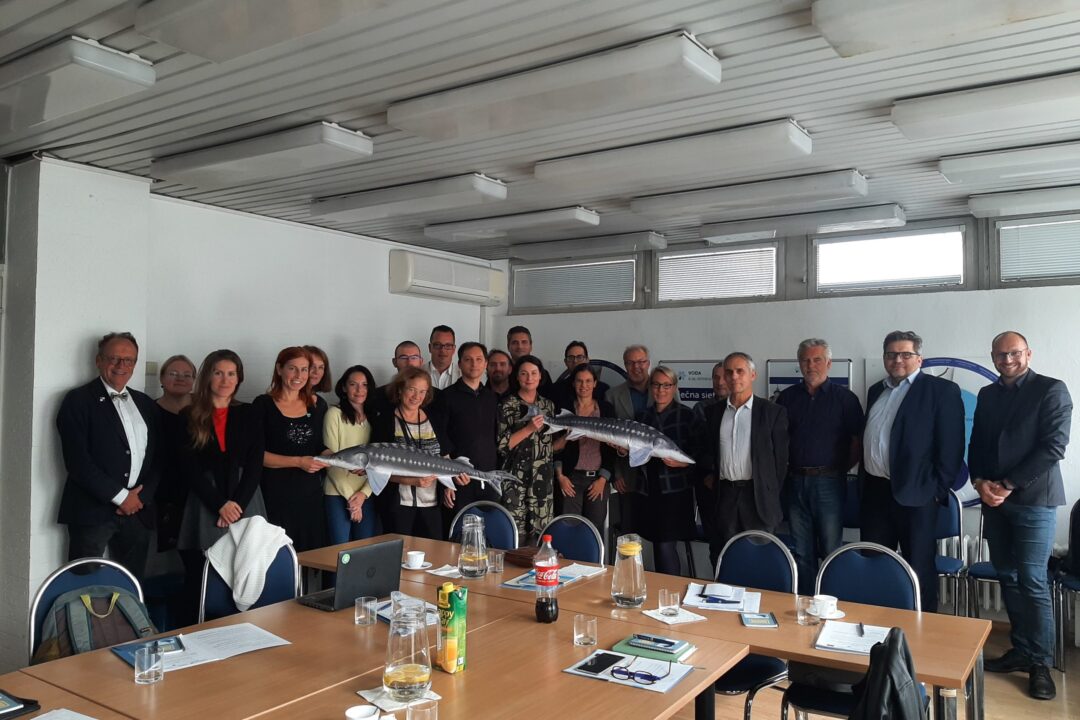Fish Migration Restoration Working Meeting