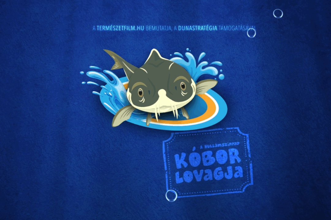 Why is it a challenge to be a migratory fish?