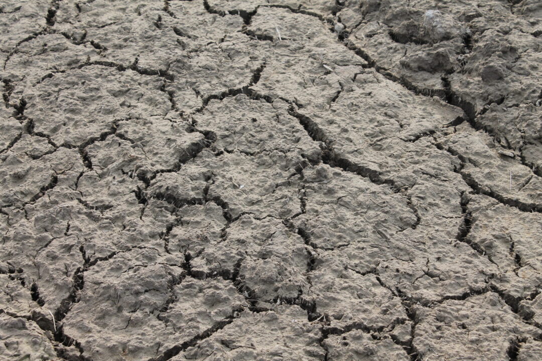 Workshop: Towards a better understanding of drought impacts and risks in water management sector