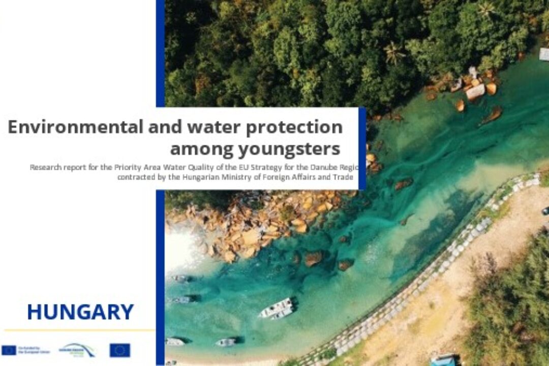 A basic study of the involvement of young people