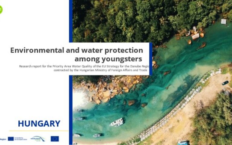 A basic study of the involvement of young people