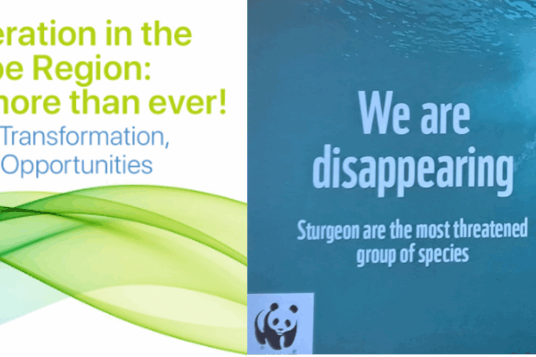 13th EUSDR Annual Forum