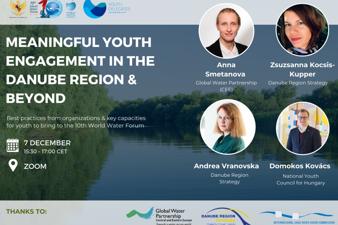 Meaningful youth engagement in the Danube region webinar 7 December 2023