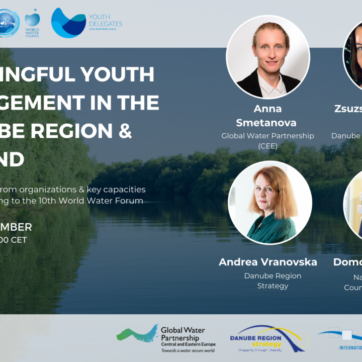 Meaningful youth engagement in the Danube region webinar 7 December 2023