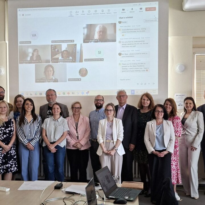 29th Steering Group Meeting